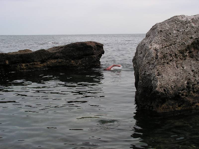 PICT0008_3 