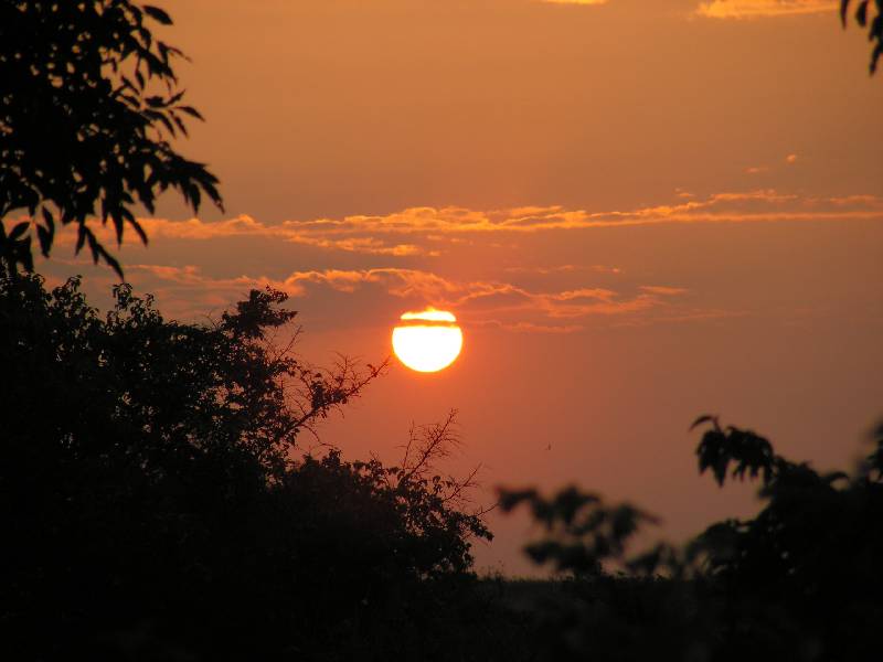 PICT0032_2 