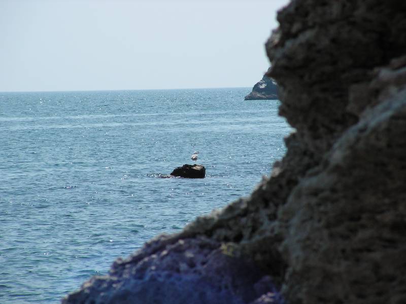 PICT0037 