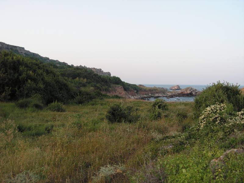 PICT0056 