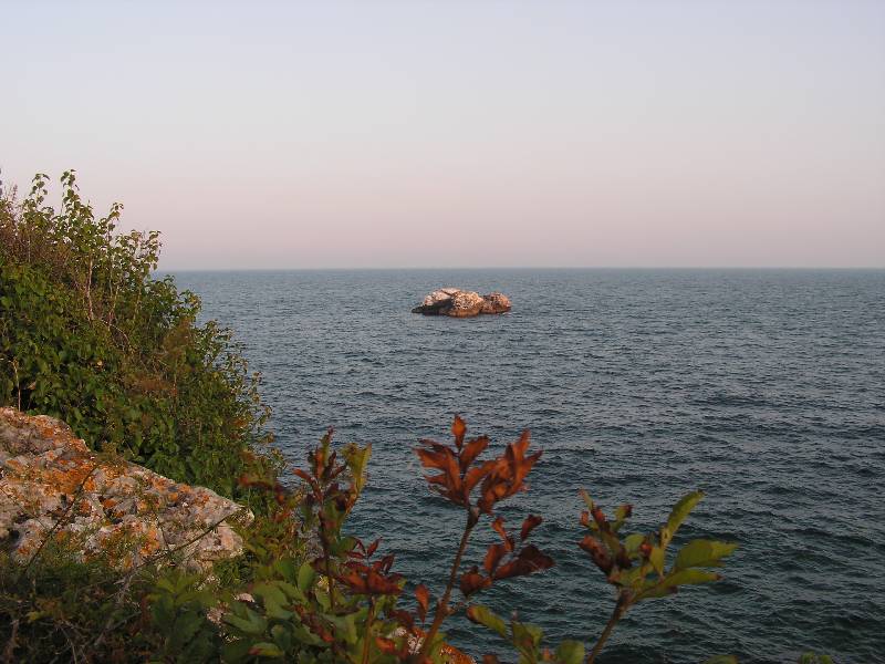 PICT0059 