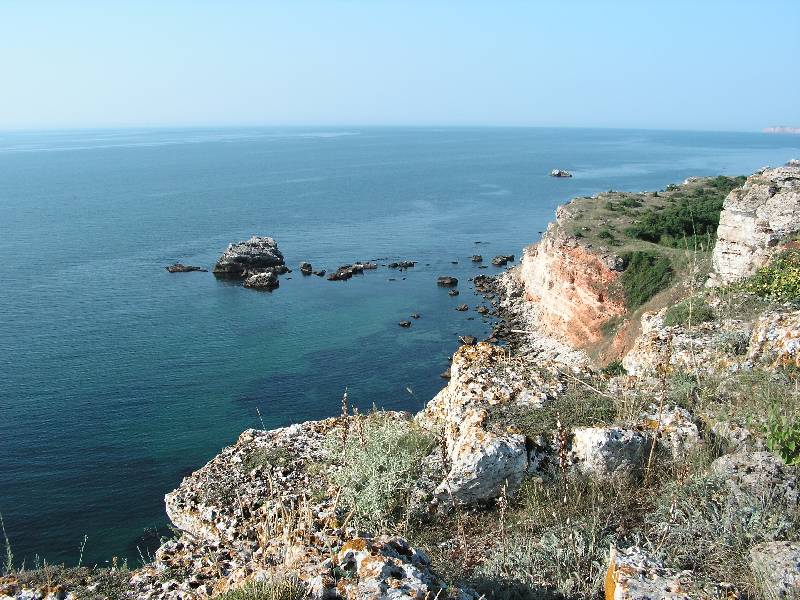 Pict0010_11 