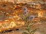 PICT0090