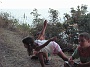 PICT0202