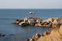IMG_0964