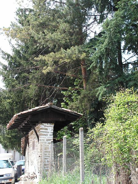 PICT0026.JPG