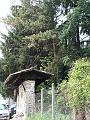 PICT0026