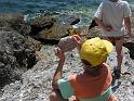 PICT0051